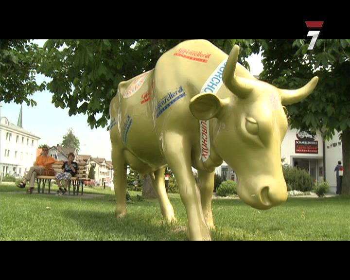 Murcianos por el mundo: Suiza