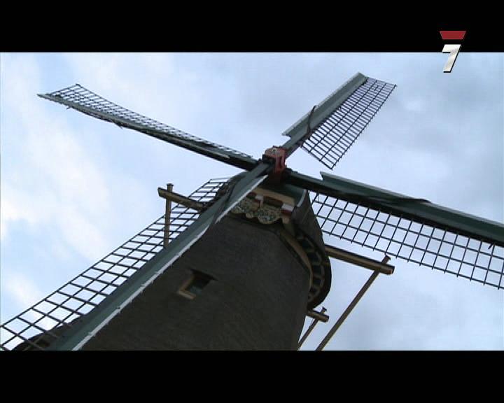 Murcianos por el mundo: Holanda