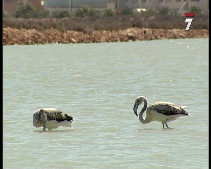 De la tierra al mar