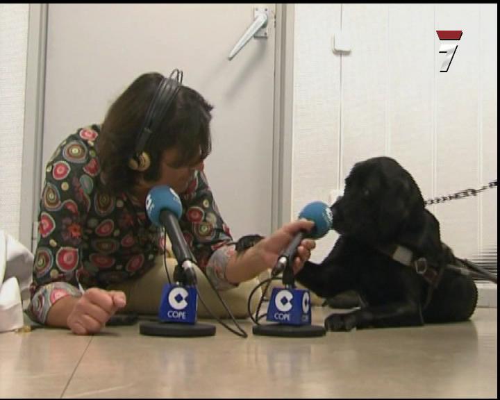 Perro Mundo