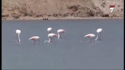 De la tierra al mar