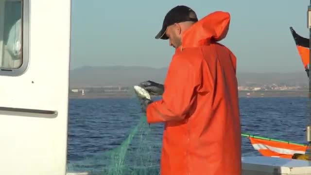 De turismo pesquero por ¡El Mar Menor! - Entre Cañas